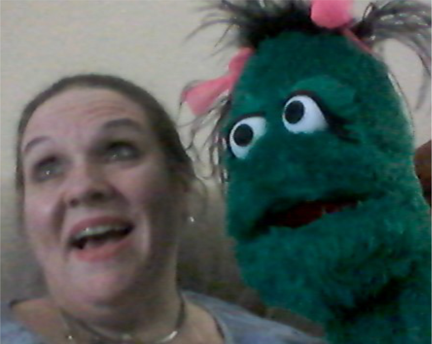 Orchard Human Services puppet