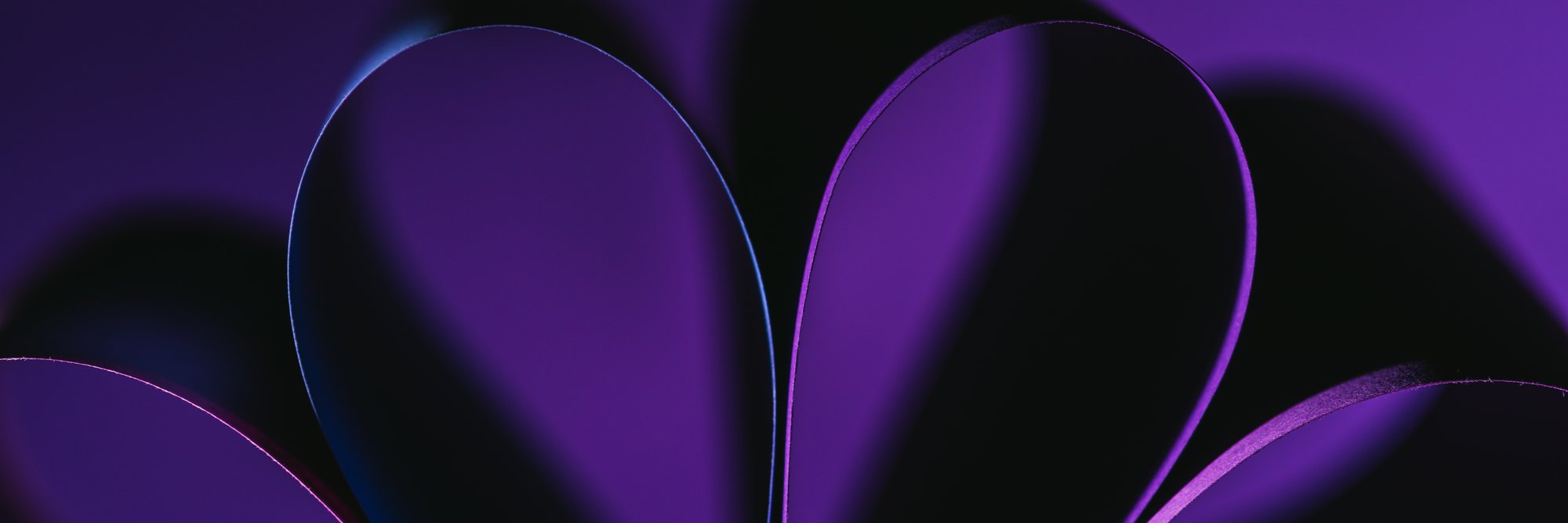 Two paper hearts curling toward each other in soft purple light