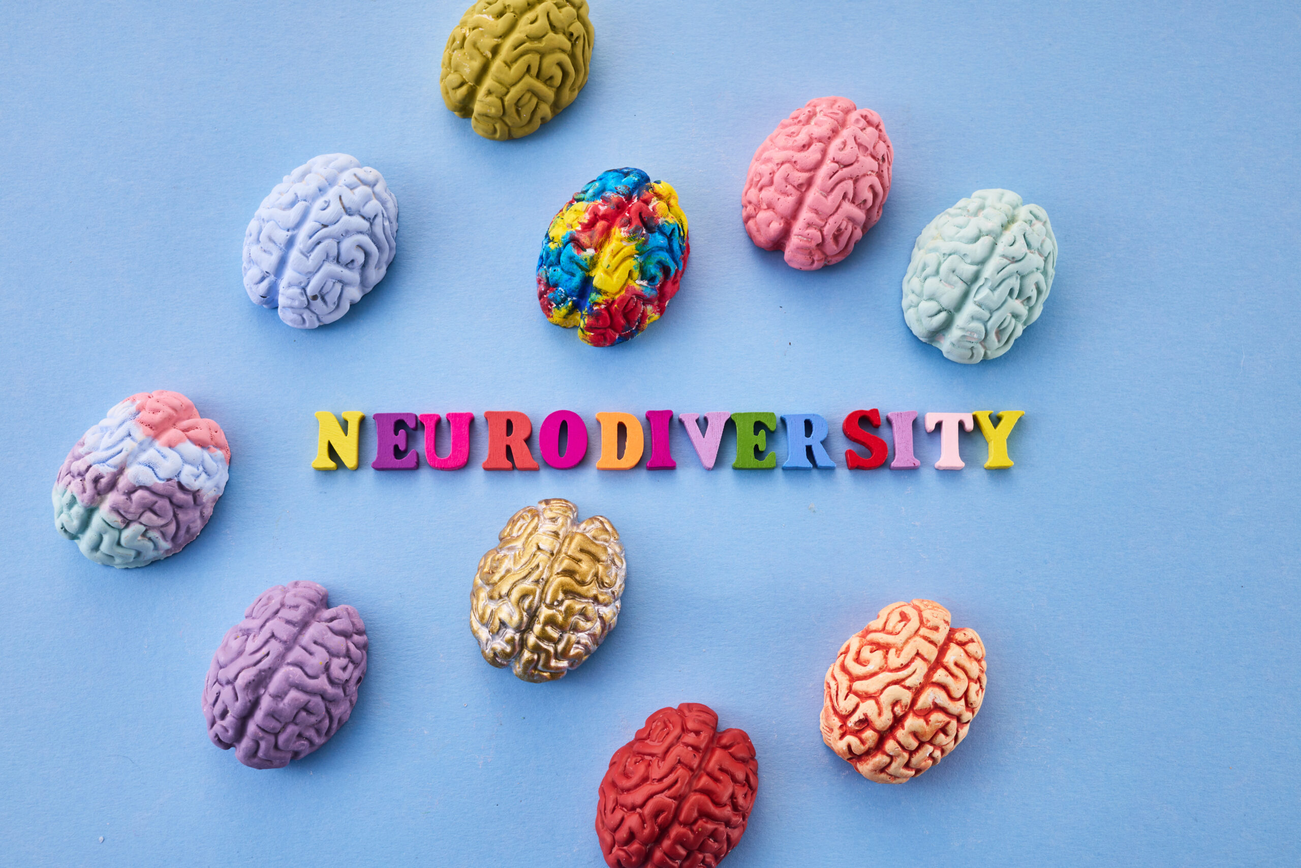 Colorful illustrated brains representing different kinds of minds